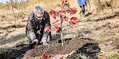 Imagem principal do evento Volunteer at Pennypack on the Delaware Park