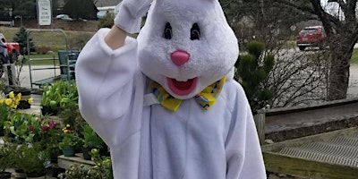 Primaire afbeelding van Easter Egg Hunt with the Hare (5 years old and under)
