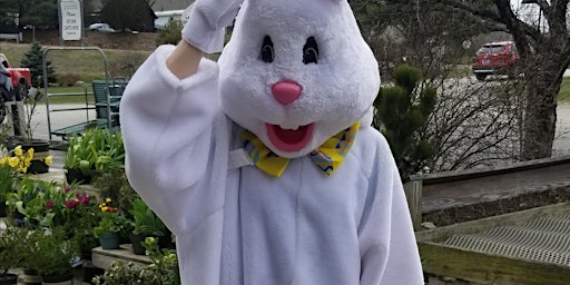 Imagem principal de Easter Egg Hunt with the Hare (5 years old and under)