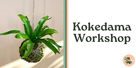 Kokedama Building Workshop