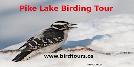 Pike Lake Winter Birding Tour primary image