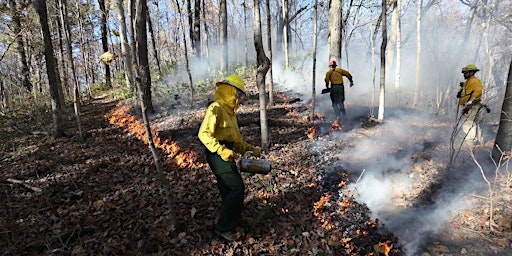 Primaire afbeelding van Prescribed Fire Forum plus optional field tour: Columbus