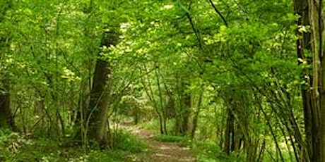 Guided Walk of Lea and Pagets Nature Reserve