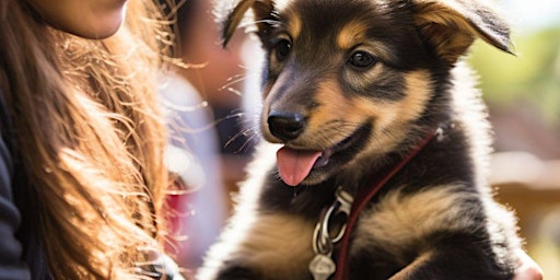 Imagem principal do evento Dog-Friendly Easter Brunch with Bottomless Mimosas