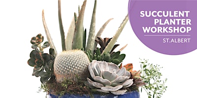 Image principale de Succulent Planter | Salisbury Greenhouse | Enjoy Centre | St. Albert