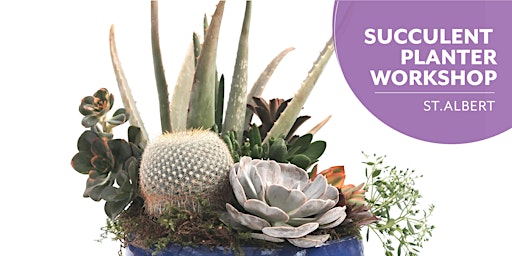 Succulent Planter | Salisbury Greenhouse | Enjoy Centre | St. Albert primary image