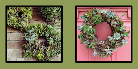 Succulent Wreath primary image