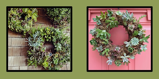 Imagem principal de Succulent Wreath