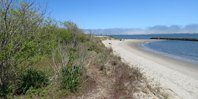 Plumb Beach Clean Up primary image