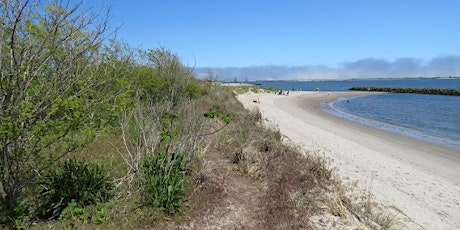 Plumb Beach Clean Up