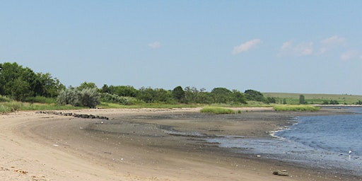 Canarsie Pier Clean Up primary image