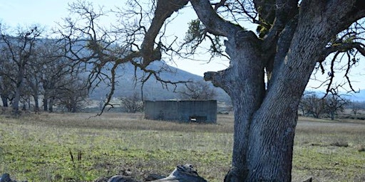 Camp White: "The Alcatraz of Boot Camps" primary image