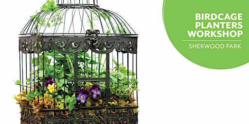 Imagen principal de Birdcage Planter | Salisbury Greenhouse | Sherwood Park