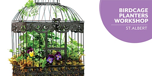 Birdcage Planter | Salisbury Greenhouse | Enjoy Centre | St. Albert primary image