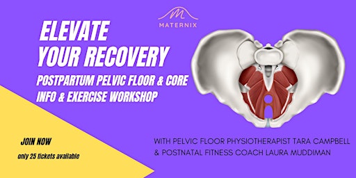 Heal your Core & Pelvic Floor: Your Postpartum Guide to Movement primary image