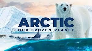 Free CineDome Movie Experience for Seniors: Artic the Frozen Planet primary image