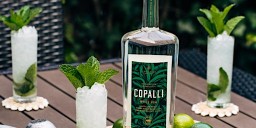 Bartenders Weekend: Copalli Rum Happy Hour PopUp @ Swan Bar primary image