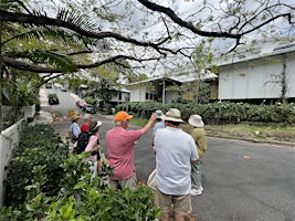 Hauptbild für Paddington Guided Architectural History Walking Tour + Morning Tea (MAY)