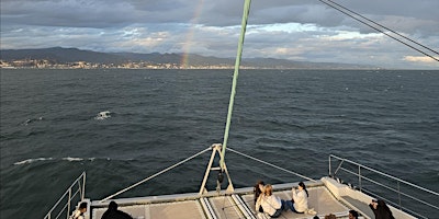 Malaga - Boat trip along the coast primary image