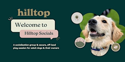 Hilltop Socials - Dog Socialisation Group primary image