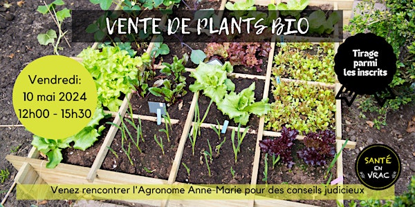 VENTE DE PLANTS BIO pour potager 2024