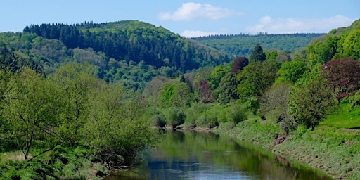 Tintern and  Wye Valley Day Walk - Summer in the Valley