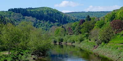 Image principale de Tintern and  Wye Valley Day Walk - Summer in the Valley