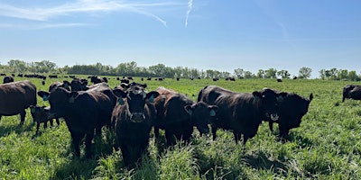 Oneida Nation Farm Pasture Walk primary image