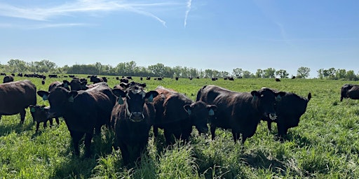 Hauptbild für Oneida Nation Farm Pasture Walk