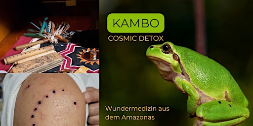 Imagem principal de Cosmic Detox mit Kambo