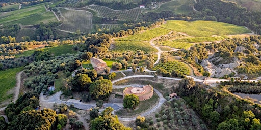 Hauptbild für The Wines of Tuscany