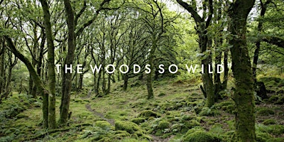 Loch Shiel Festival 2024: The Woods So Wild primary image