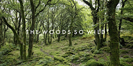 Loch Shiel Festival 2024: The Woods So Wild