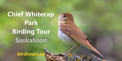 Chief Whitecap Park Birding and Hiking Tour primary image