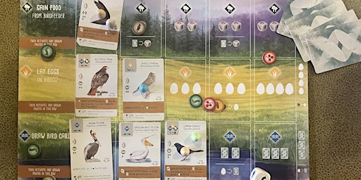 Ecology Board Game Night  primärbild