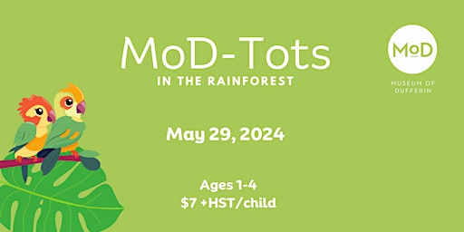 MoD-Tots: In the Rainforest primary image