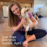 Baby Goat Yoga in Arlington primary image