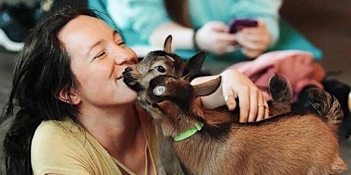 Hauptbild für Baby Goat Yoga at Timberyard Sat 4/6 - 10:30am