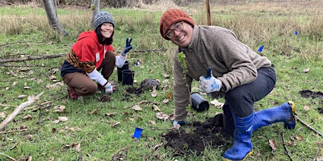 Primaire afbeelding van Volunteer at 21 Acres: Farm Stewardship