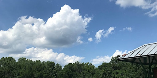 Primaire afbeelding van Cloud in a Jar