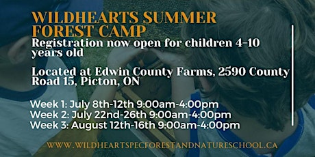 Wildhearts Summer Camp Week 2: July 22-26th, 2024