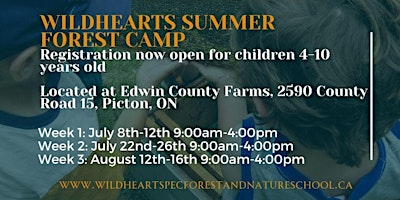 Hauptbild für Wildhearts Summer Camp Week 2: July 22-26th, 2024