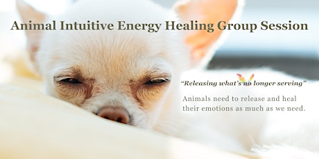 Animal Intuitive Energy Healing Group Session