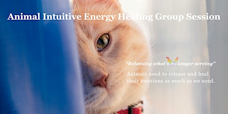 Animal Intuitive Energy Healing Group Session