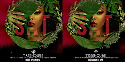 Hauptbild für Treehouse Saturday