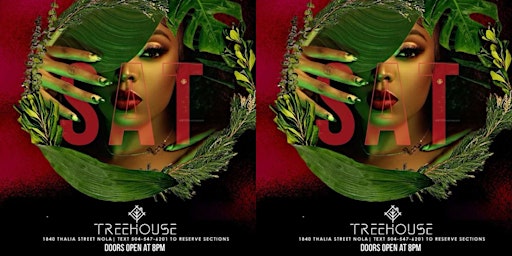 Image principale de Treehouse Saturday