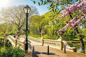 Central Park Singles Stroll  primärbild