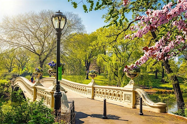 Central Park Singles Stroll