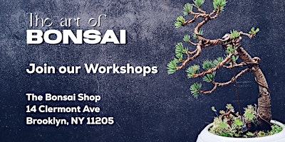 Primaire afbeelding van Mother's Day Brazilian Raintree Bonsai Workshop, 5/11