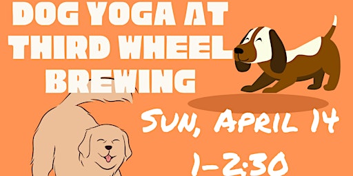 Imagem principal do evento Dog Yoga @ Third Wheel Brewing , Sunday April 14, 1-2:30